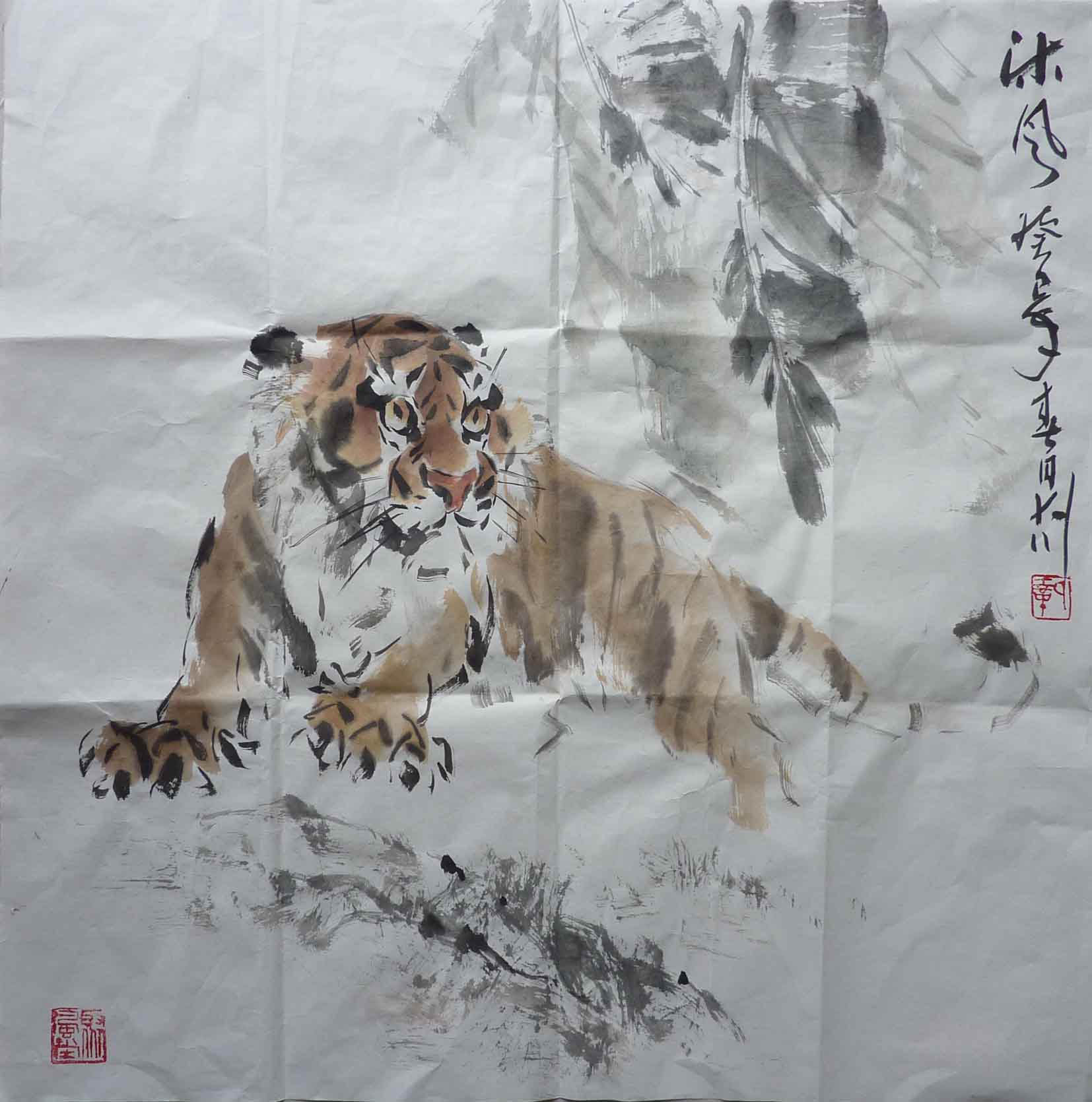 巩大川_虎
